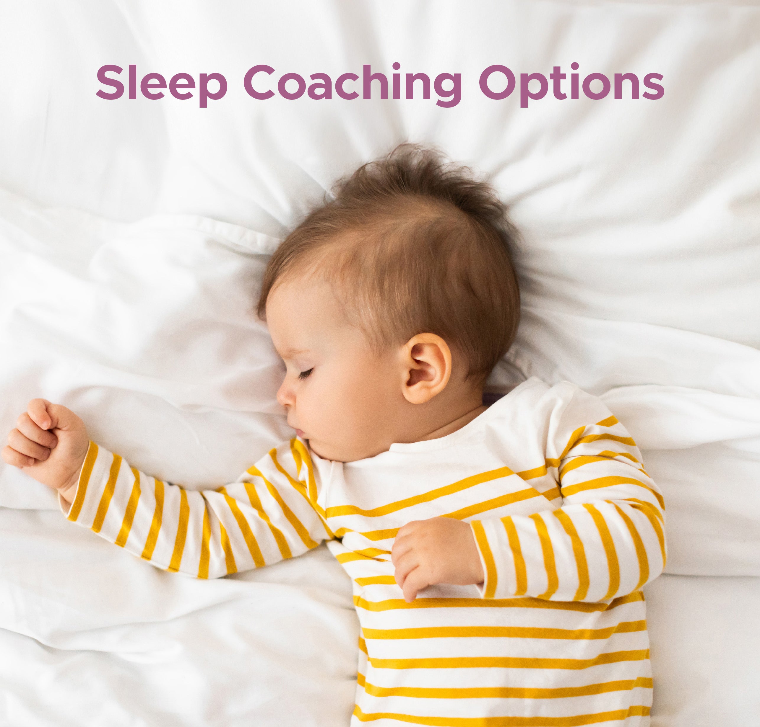 Harbor Sleep Coaching options text line
