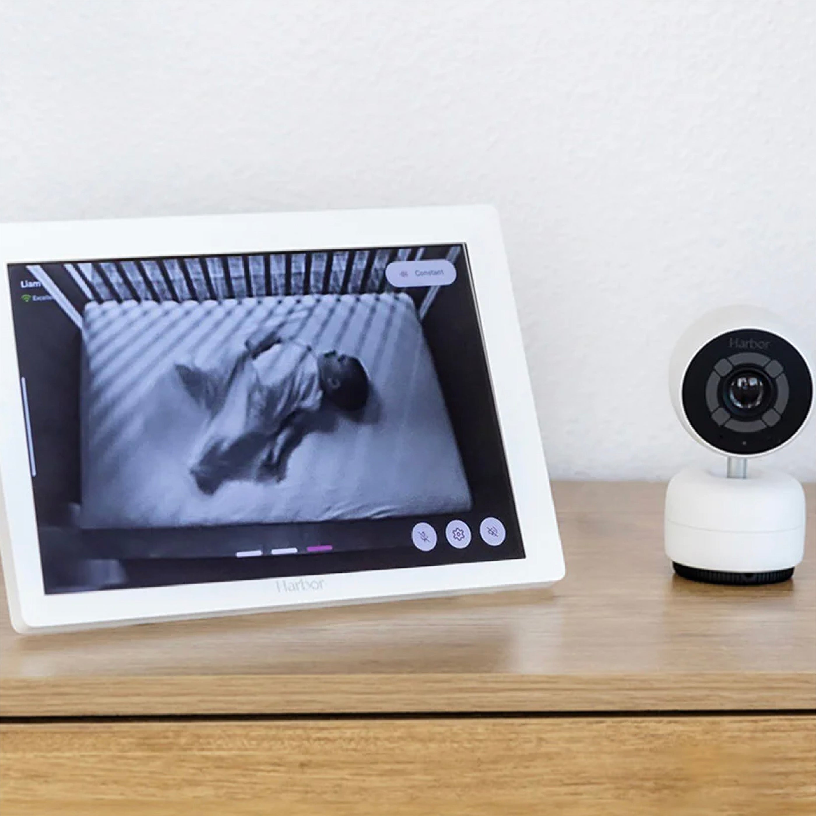 Harbor baby monitor and camera