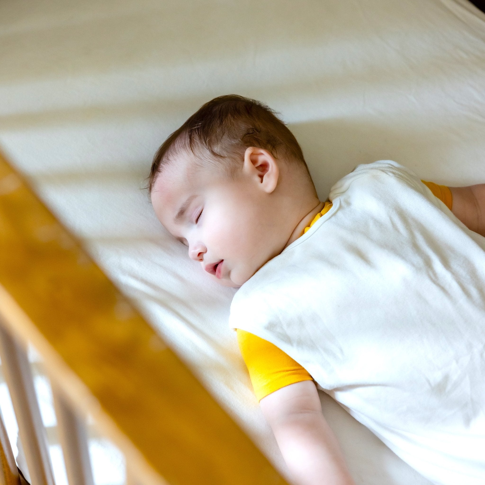 Harbor Care Text Line - Harbor