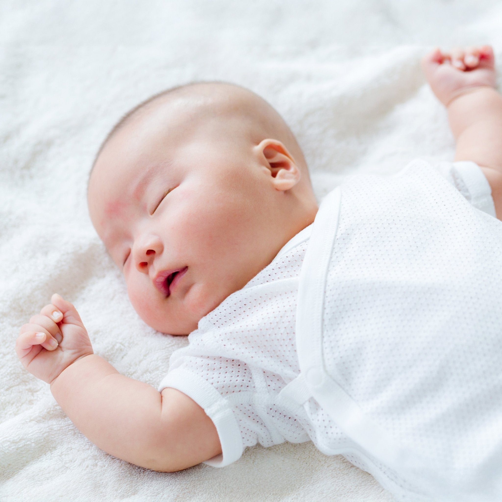 Harbor Sleep Coach | 2 Week Package - Harbor