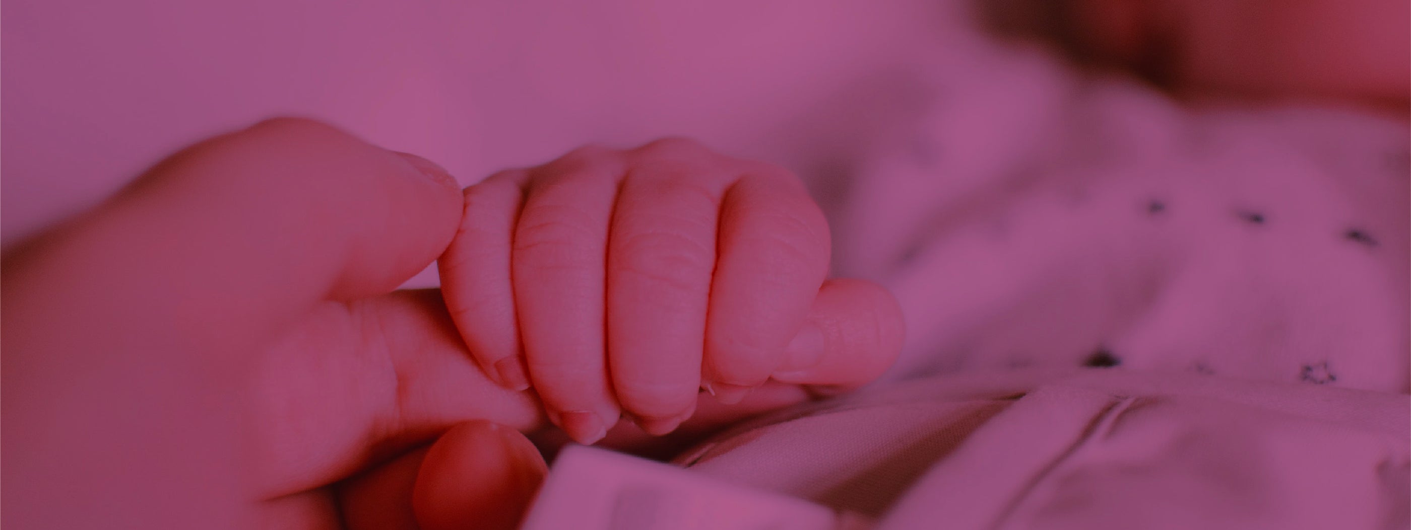 parent holding baby hand close up with fuschia overlay